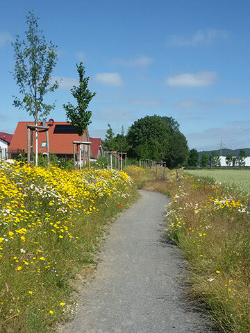 2021 Gehrden BG Grünstreifen