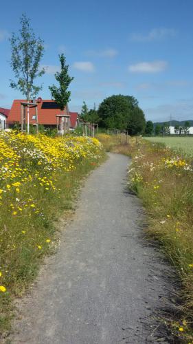 Straßenbegleitgrün BG Grünstreifen Gehrden