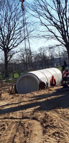 Straßenbegleitgrün Einbau einer Fledermaushöhle Burgdorf