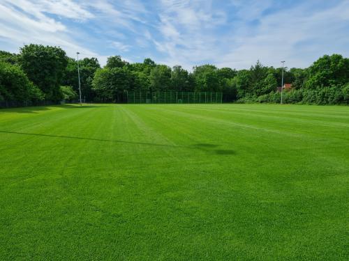 Sportanlagen Naturrasenspielfeld Rotenburg